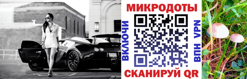 Купить закладки  Ессентукская  Псилоцибиновые грибы Cubensis 